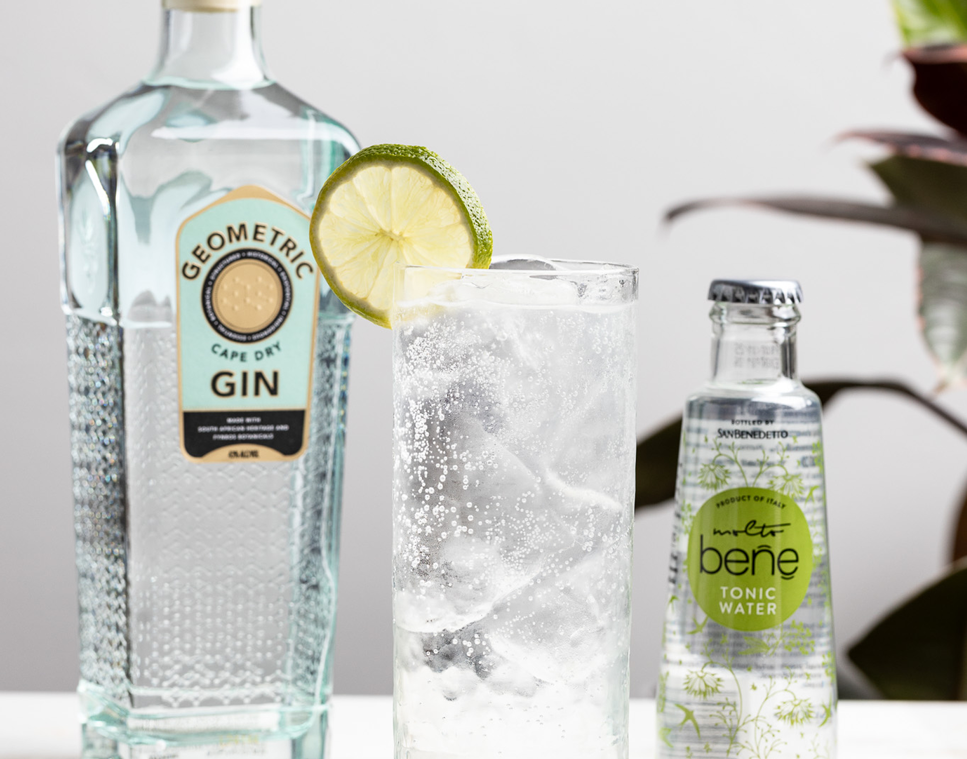 Gin and Tonic