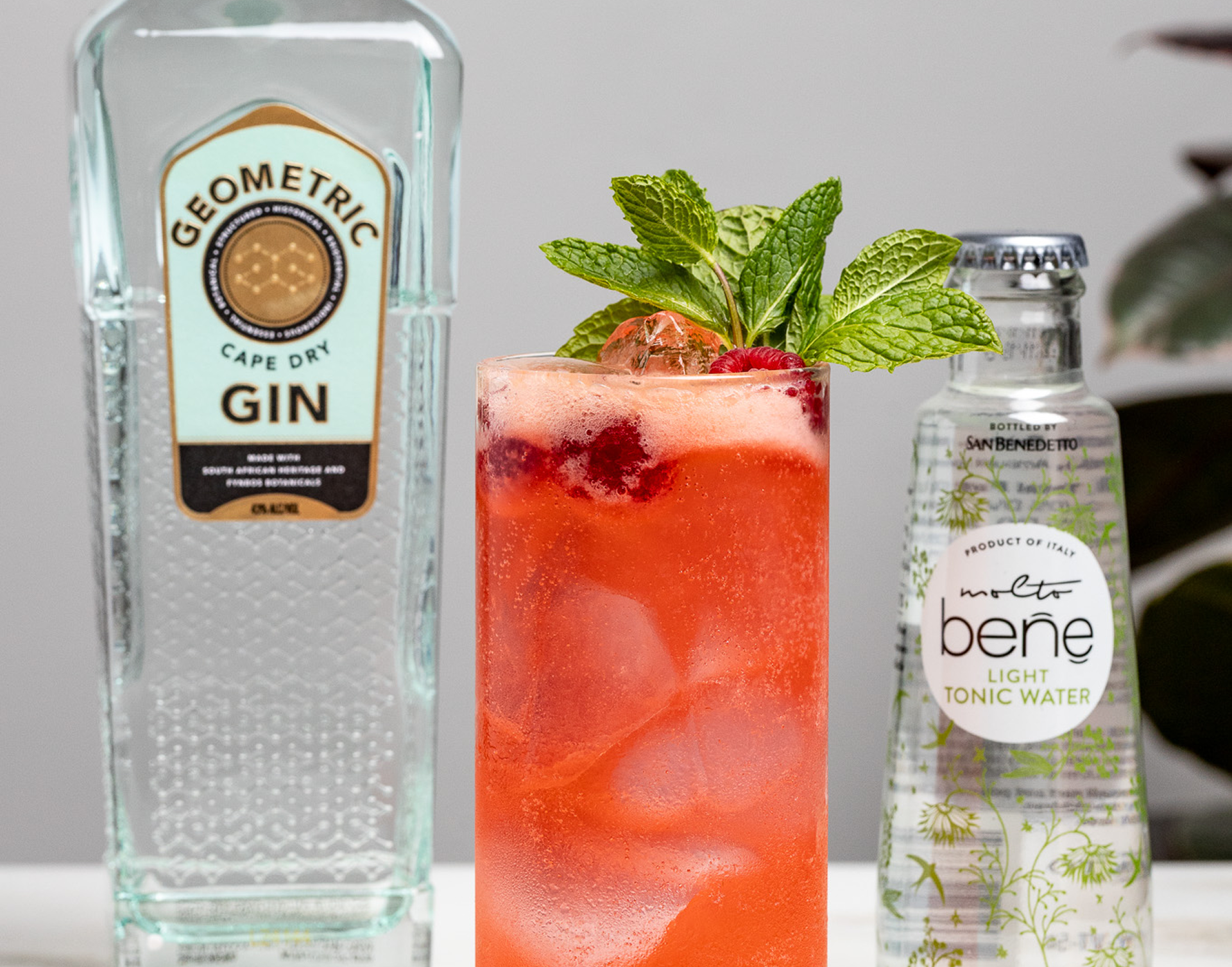 Gin and Tonic