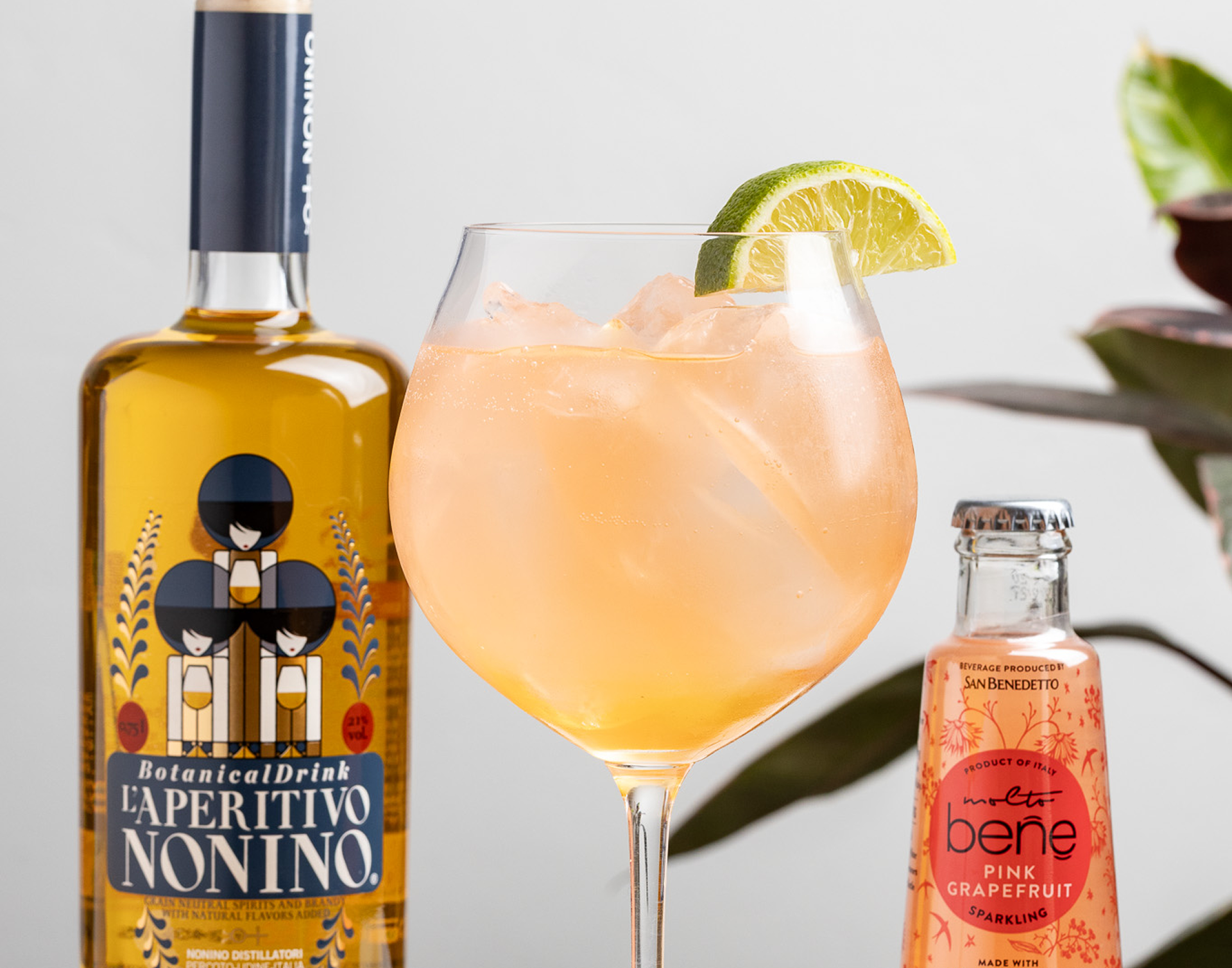 Gin and Tonic